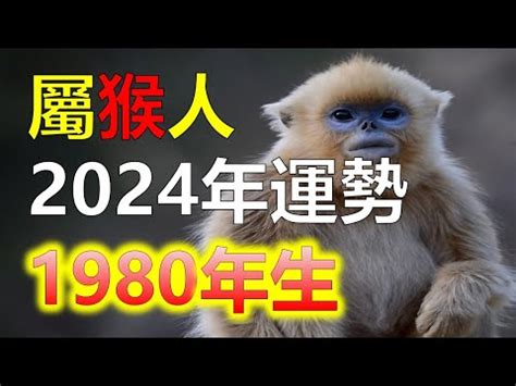 屬猴五行|【生肖猴五行命運】生肖屬猴五行屬性的人性格命運 